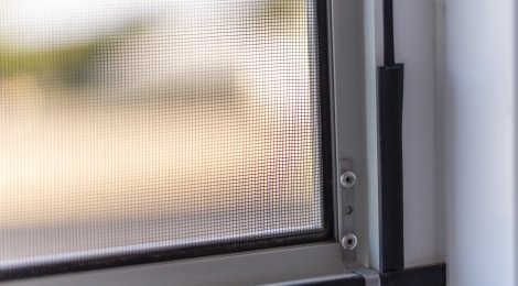 Quelle: Envato