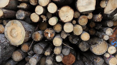 Holz Bild von Marco Hartmann