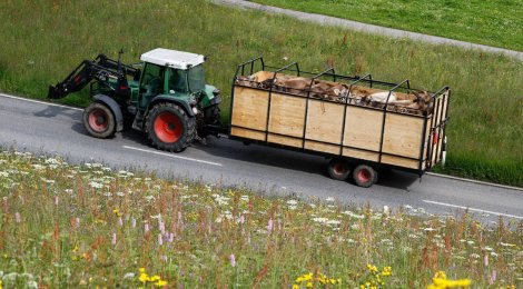 Ein Traktor versperrt den Weg – was nun?