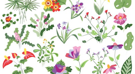 Können Pflanzen sprechen?