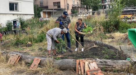 Pflanzen säen und giessen: Ein Integrationsprojekt im Garten