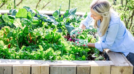 Das gilt es bei der Gartenarbeit im Frühling zu beachten