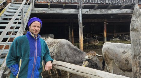 Drei Jahre Biohof:  Samuel Hauenstein beliefert das Engadin mit frischem Gemüse