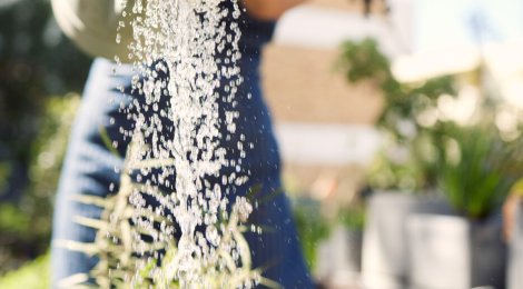 Garten im Sommer: Tipps und Tricks zum Bewässern