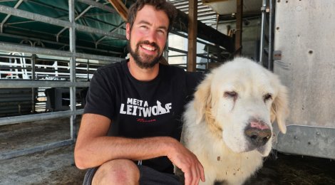 Neugieriger Landwirt: Tim Marchesi probiert gerne Neues aus