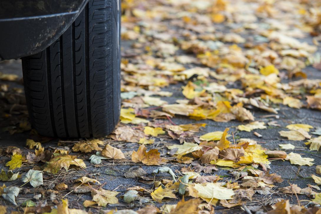 Fünf Tipps für das Autofahren im Herbst