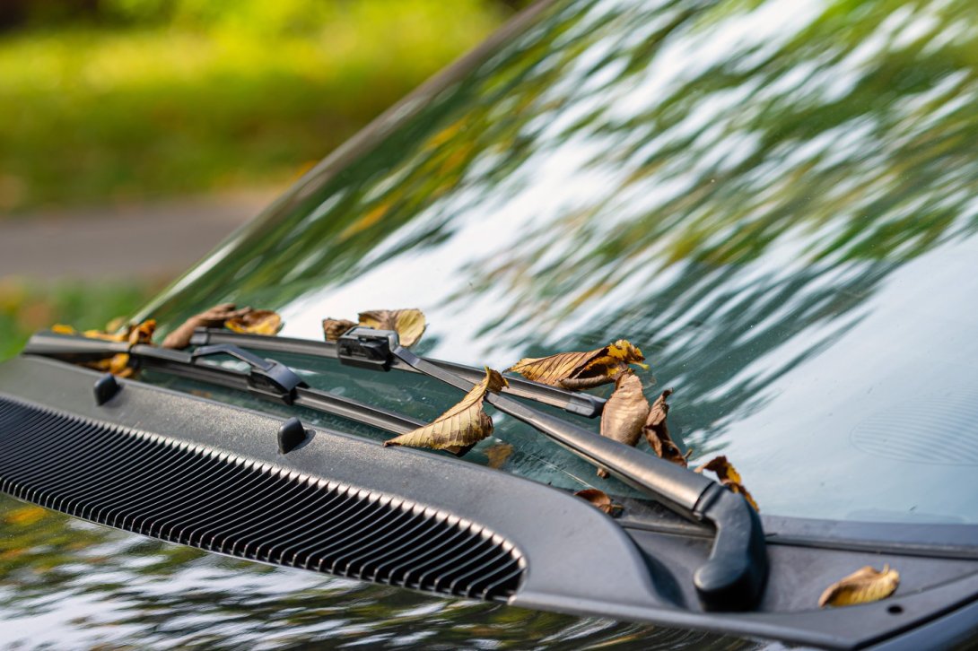 No-Gos und Tipps fürs sichere Autofahren